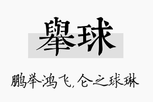 举球名字的寓意及含义