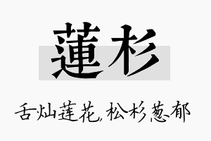 莲杉名字的寓意及含义