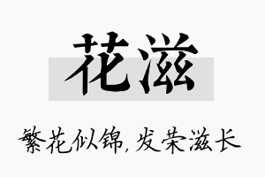 花滋名字的寓意及含义