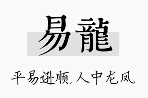 易龙名字的寓意及含义