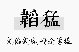 韬猛名字的寓意及含义