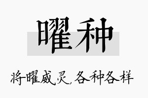 曜种名字的寓意及含义