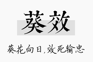 葵效名字的寓意及含义