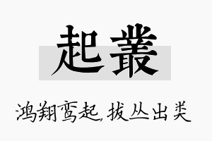 起丛名字的寓意及含义