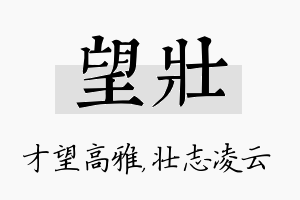 望壮名字的寓意及含义