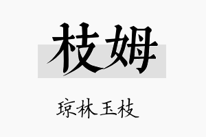 枝姆名字的寓意及含义