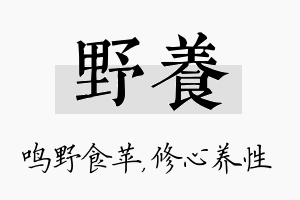 野养名字的寓意及含义