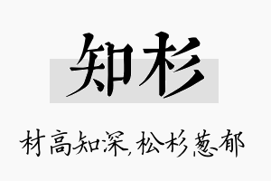 知杉名字的寓意及含义