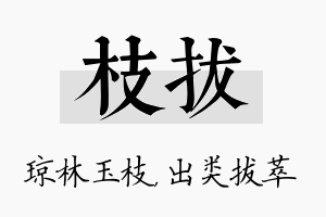 枝拔名字的寓意及含义