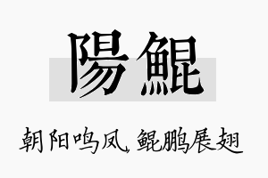 阳鲲名字的寓意及含义