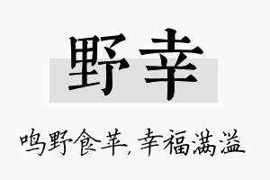 野幸名字的寓意及含义