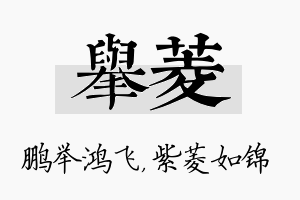 举菱名字的寓意及含义