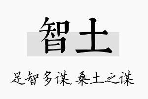 智土名字的寓意及含义