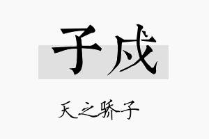 子戍名字的寓意及含义