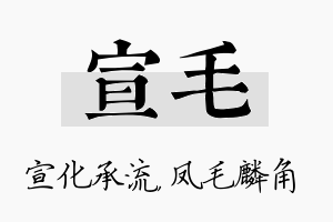 宣毛名字的寓意及含义