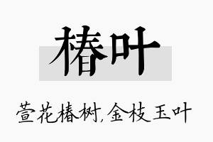 椿叶名字的寓意及含义