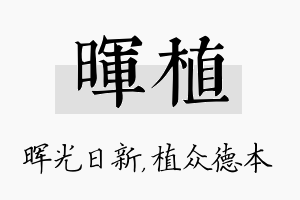 晖植名字的寓意及含义