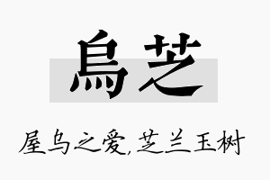 乌芝名字的寓意及含义