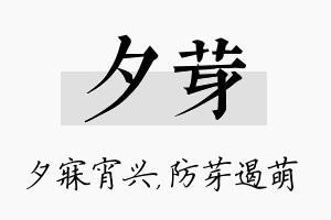 夕芽名字的寓意及含义