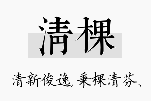 清棵名字的寓意及含义