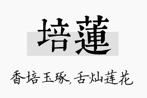 培莲名字的寓意及含义