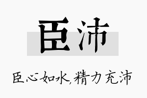 臣沛名字的寓意及含义