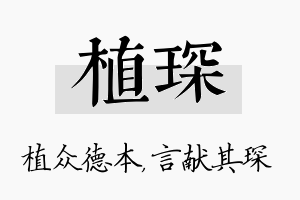 植琛名字的寓意及含义