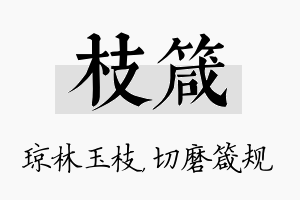 枝箴名字的寓意及含义