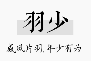 羽少名字的寓意及含义