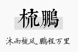 梳鹏名字的寓意及含义