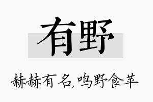 有野名字的寓意及含义