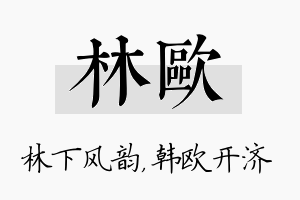 林欧名字的寓意及含义