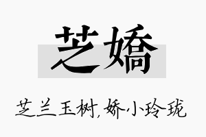 芝娇名字的寓意及含义