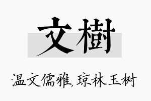 文树名字的寓意及含义