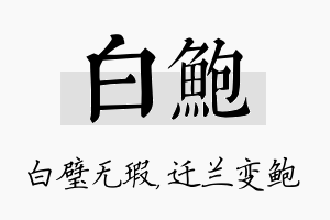 白鲍名字的寓意及含义