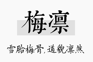 梅凛名字的寓意及含义