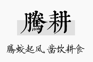 腾耕名字的寓意及含义