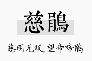 慈鹃名字的寓意及含义