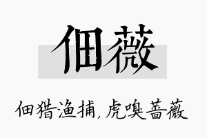 佃薇名字的寓意及含义