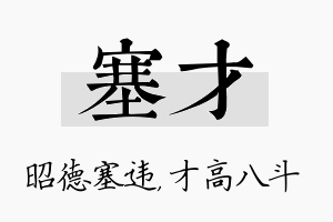 塞才名字的寓意及含义