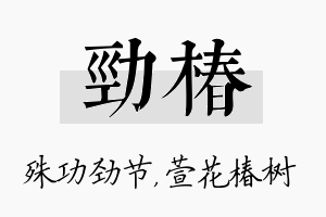 劲椿名字的寓意及含义