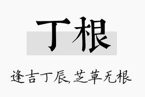 丁根名字的寓意及含义