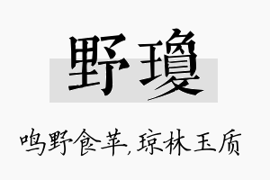 野琼名字的寓意及含义