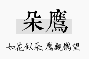 朵鹰名字的寓意及含义