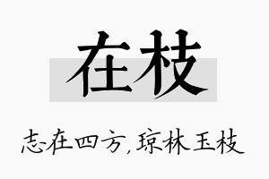 在枝名字的寓意及含义