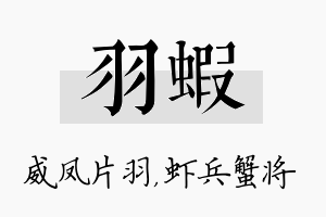 羽虾名字的寓意及含义