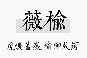 薇榆名字的寓意及含义