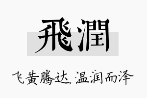 飞润名字的寓意及含义