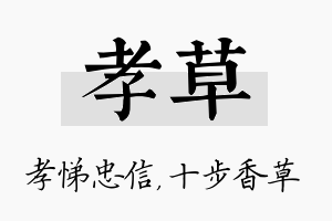 孝草名字的寓意及含义