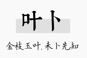 叶卜名字的寓意及含义